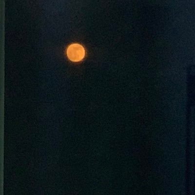 mon_ca_tong's profile picture. 어트케 다 기엽냐 너네?🫠 나도 아름다운 팬이고 싶은데 자꾸 웃기고 싶은 투명베베😶‍🌫️