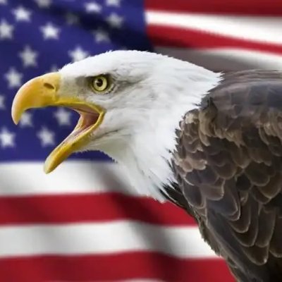 A true friend is someone who understands you even if you don't say anything-MAGA