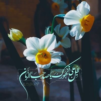 عاقبت با لطف حق دوران امام مهدی(عجلالله تعالی فرجه الشریف)میرسد...🍃