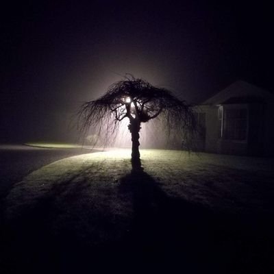 Exhorter_'s profile picture. It only takes one person to turn the tide of the battle but needs an army to win it.