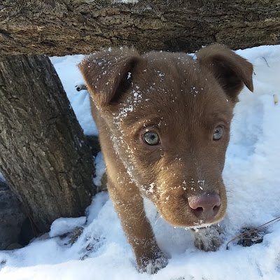 FellmerJas46568's profile picture.
