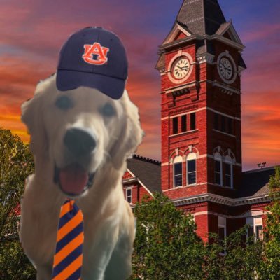 SheedLover's profile picture. #saints | #auburn | #pelicans | #bravescountry| (Popeyes Postulate creator) Diss my glorious king Sheed and I will dox u | 🚨IFB🚨