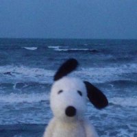 Mark (@marrkk) 's Twitter Profile Photo Mark (@marrkk) 's Twitter Profile Photo