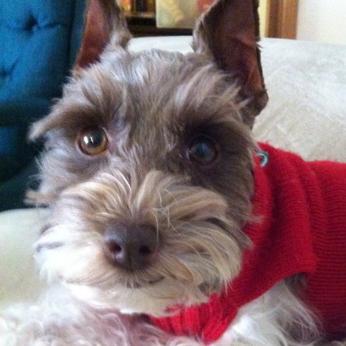 Gracerulzme's profile picture. 