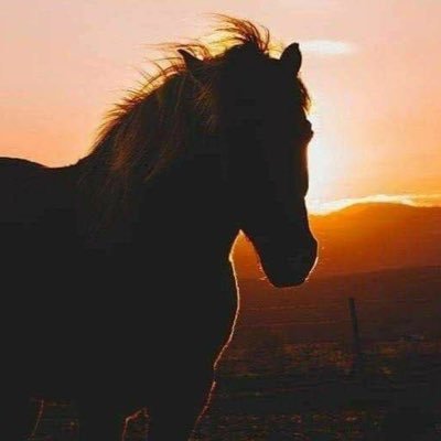 لست غريبه طبع..لكني غريبه مكان ..وزمان 🌷