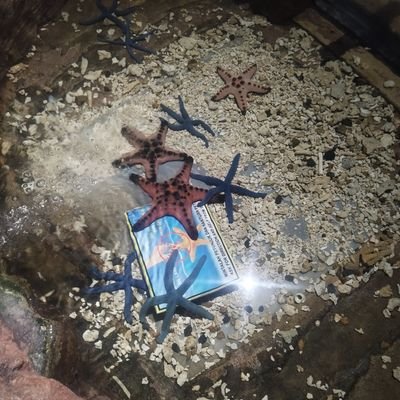 lestarimal53782's profile picture. 