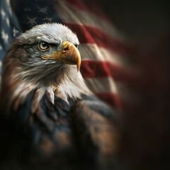 PSys33713's profile picture. Christian, MAGA, MAHA, late in life college graduate, ⚖️Criminal Justice ⚖️
❤️🤍💙🇺🇲🇮🇱🇺🇲❤️🤍💙
 No porn   NO DMs, PLEASE!