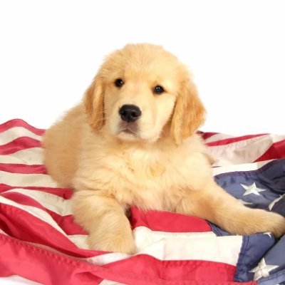 jnew20379's profile picture. Newly made