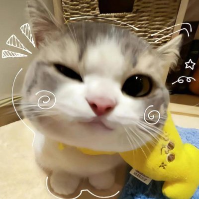 korewa_meoworld's profile picture. 