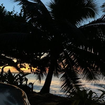 GuyAtiu89057's profile picture. 🫠