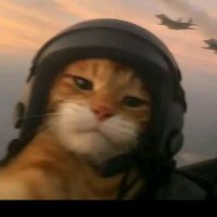 angel (@adrianicilo) 's Twitter Profile