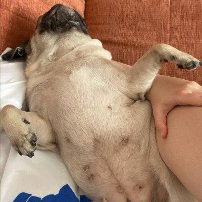 Catheri97244119's profile picture. Patriot || Animal lover 😸||Talkative and Friendly😊 | I love humor and questioning||
Helping creators grow on 🚀|
⚠️Let's be mutual🔁