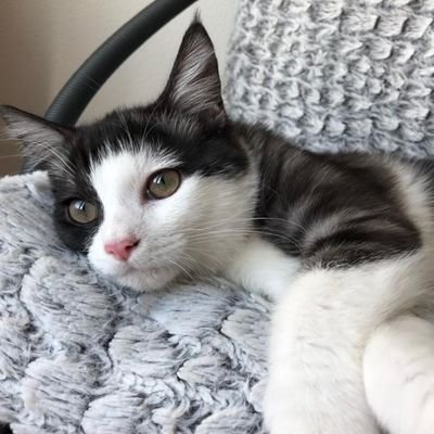 FatmaKo82198142's profile picture. 