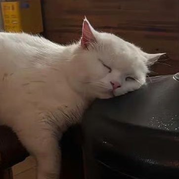 mmghさんのプロフィール画像