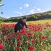 Metehan Doğan (@metehandogansm) Twitter profile photo Metehan Doğan (@metehandogansm) Twitter profile photo