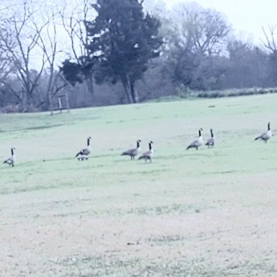 Lindsay14329's profile picture. Love to see whats happening!