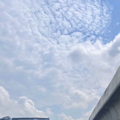 NN_1451's profile picture. 