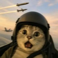 Jaque Ramos (@jaqueftcache) 's Twitter Profile