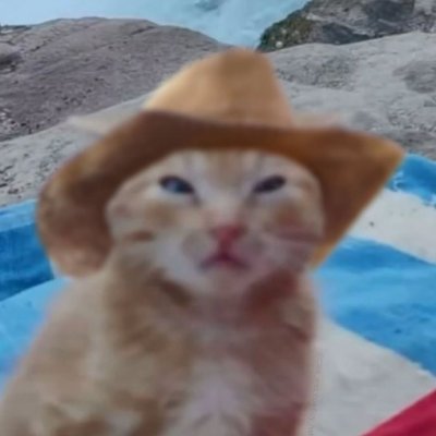Amateur Writer & Twitch Streamer | LGBTQ+ | Warhammer 40K Addict | Twitch: https://t.co/vBH4FIFYGM