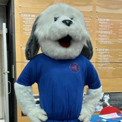 FinleyNYSAHPERD's profile picture. NYS AHPERD Mascot
My name means Hero!
I love Health, Physical Fitness, Physical Education, Recreation, and Dance!
I am loyal, trustworthy, and kind....