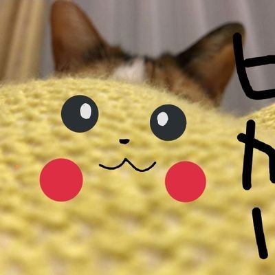 大和さんのプロフィール画像