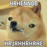 Ðogecoin 🌞 (@dogecoindd) 's Twitter Profile Photo