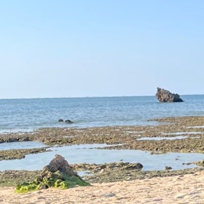 18yko's profile picture. SUNABACO KOZA13th 共働き×2歳0歳子育て×フルタイム 経理/SNS/広告/マーケ等Web全般