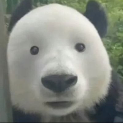 Joobalee2's profile picture. I post nothing