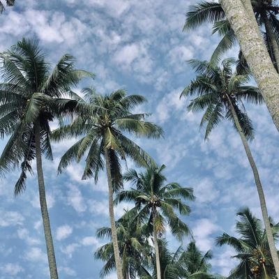 الرِّزْقُ لَيسَ الخَير الَّذِي يُعْطِيك اللهُ إيَّاه فَقَط، بَل الشَّرّ الَّذِي يصْرِفه عَنْك أَيْضًا!
Rezeki itu bukan hanya kebaikan yang Allah berikan ke🌷