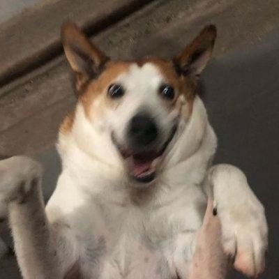 GHAさんのプロフィール画像