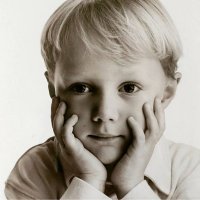 Harry (@harrypstapleton) 's Twitter Profile