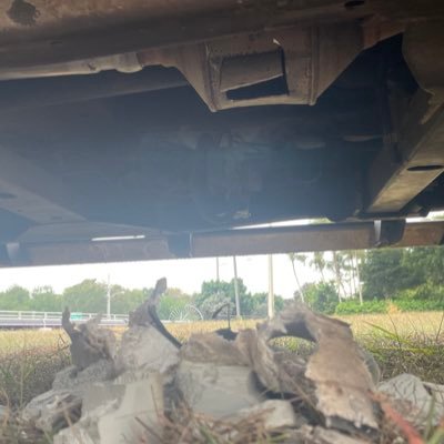 JohnnyBoy_2228's profile picture. A rare, and dying breed. I LIKE THE TECH 🥸 Christ Is King ✝️ America First 🐸 #DTOM 🐍 LONG LIVE THE REPUBLIC 🇺🇸