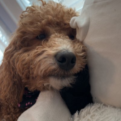 shortbo0tch's profile picture. 20 & addicted to twitter !!