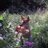 deem_303's profile image