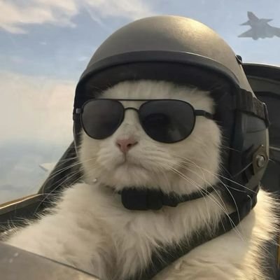 Boomrah_'s profile picture. currently testing the limits of sanity