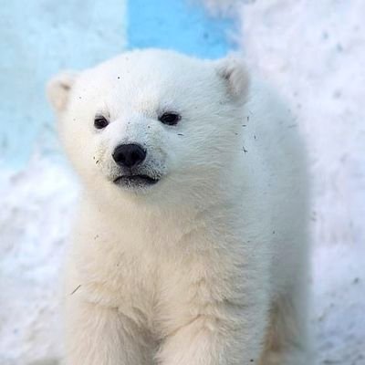 running_g0m's profile picture. 모든 종류 두부 취급 중