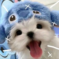 b ◜◡◝ (@normalb_) 's Twitter Profile Photo b ◜◡◝ (@normalb_) 's Twitter Profile Photo