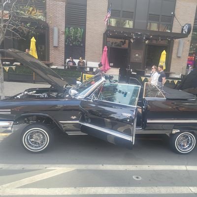 Stedrolln34's profile picture. 