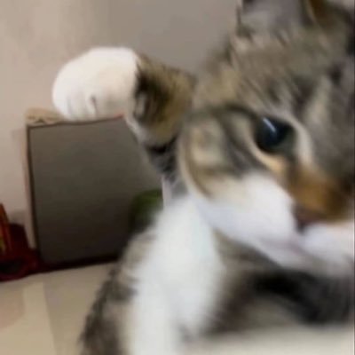 CaelumLaron's profile picture. O objetivo do crescimento é se tornar uma pessoa gentil.