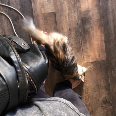 luvemalek's profile picture. ʟɪᴋᴇ ᴀʟʟ ʟɪᴠɪɴɢ ᴛʜɪɴɢꜱ ʜᴜᴍᴀɴꜱ ᴀʀᴇ ʙɪᴏ­ʟᴜᴍɪɴᴇꜱᴄᴇɴᴛ, ᴡᴇ ɢʟᴏᴡ, ʟᴇᴛ ɪᴛ ᴄᴏᴜɴᴛꜱ…