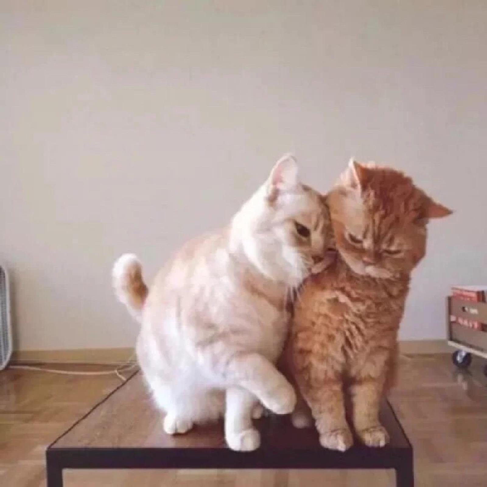 WilliamsLe19572's profile picture. 