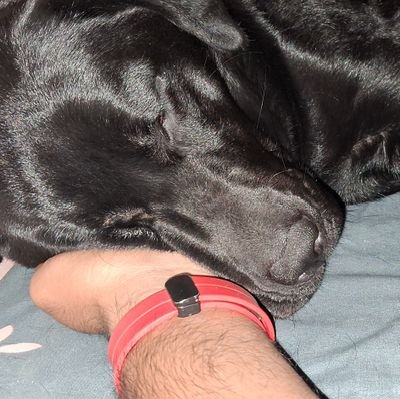 Pretencious123's profile picture. “All silencing of discussion is an assumption of infallibility,” -  J.S Mill