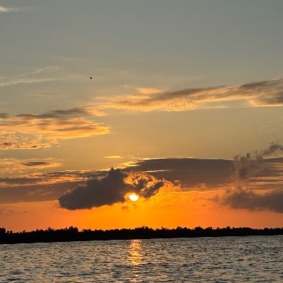 Firescience09's profile picture. Just trying to keep up..