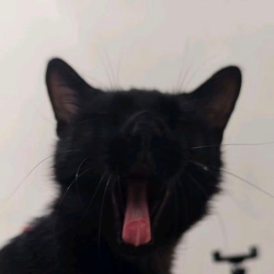 lianhuazhan's profile picture. 金钱是欢笑的终极源泉