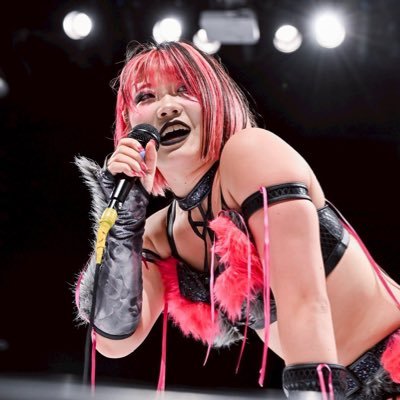 sister of hanan and twin to hina Japanese pro wrestler