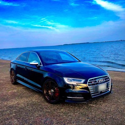 Audi S3 ナリモ: 右43.19左43.60, モテギ北ショート: 46.172, 袖ヶ浦フォレストレースウェイ: 1’19?, TC2000: 1’07.282 TC1000: 41.913, デリーKartmania: 41.939