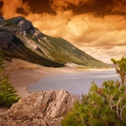 Guorar7117889's profile picture. 