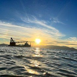 Sauoutieq387's profile picture. 