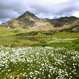 Rhemor9569810's profile picture. 