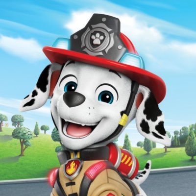 Huge PAW Patrol Fan Posting Daily Marshall Pics